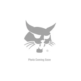 64123-137 BOBCAT TURF Blt Hex
