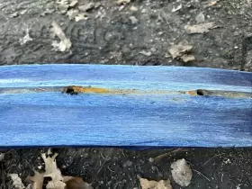 1820929-469 POLARIS Ski #3