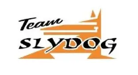 04-0UC3 SLYDOG Urban Camo Powder Hound Skis #2