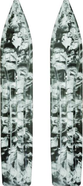 04-3013 SLYDOG Sly Dog Powderhound Ski Swirl