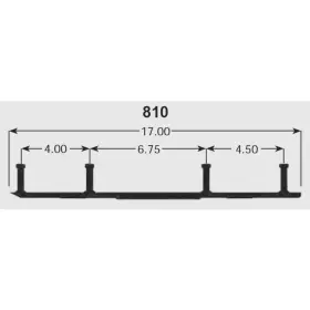 F-06-0-4-810 SPI Dual Runner Carbides Pro Skis Xcs Mtx Rz Xpt