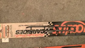 ESD2-6180 WOODYS Extender Carbides Runners Skags Mxz Skidoo