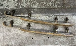 3639-344 Arctic Cat Dooly Six Inch Carbides Pair Oem #ac7. Fixed Price $69.95.