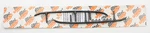 Woodys Standard Wear Bars Snowmobile Rus-9000 15-6863. Fixed Price $49.48.